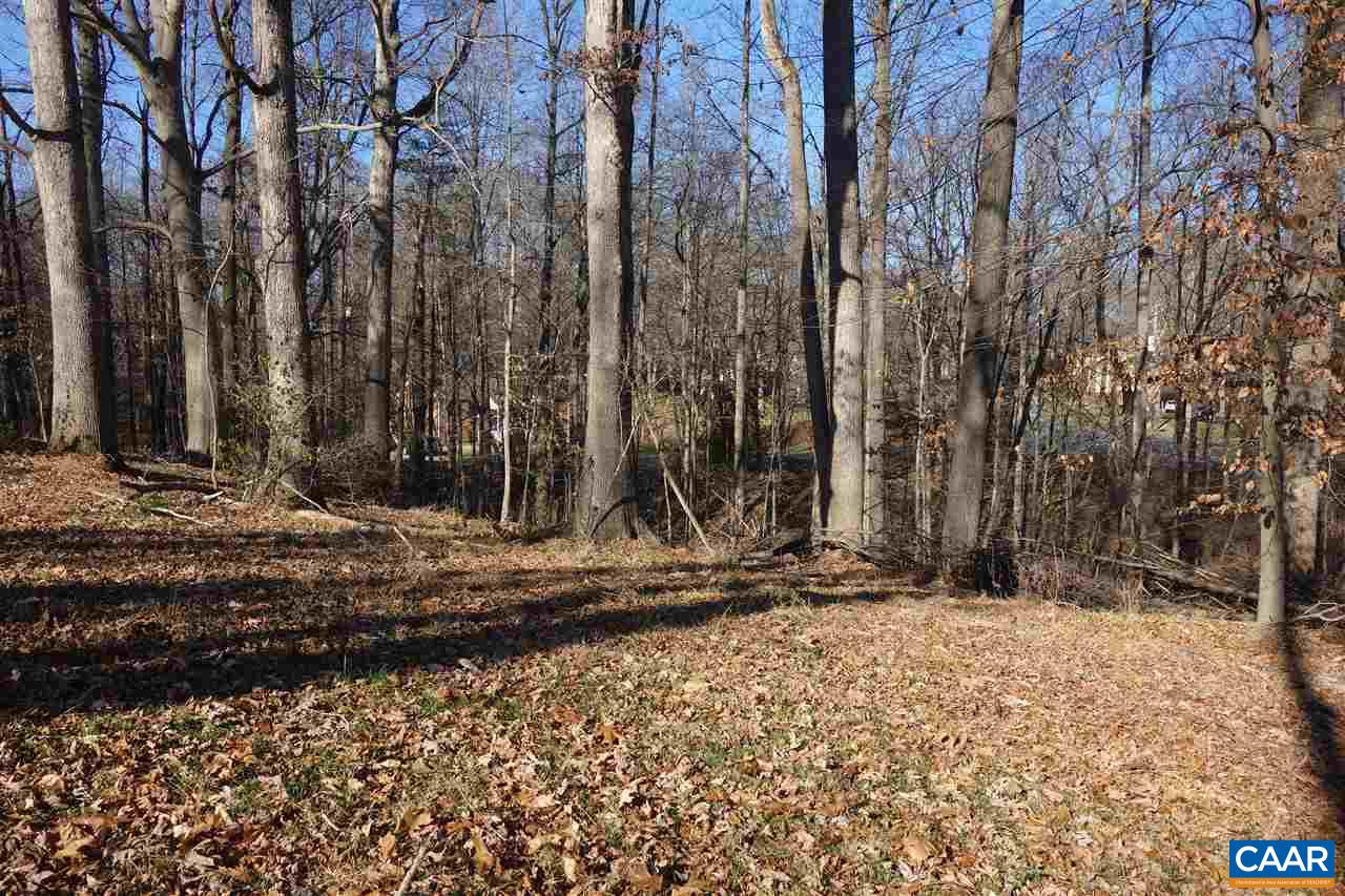 Lot M-10 Northfield Road Charlottesville, VA 22901 - Photo 5 of 10 a view of a backyard of the house