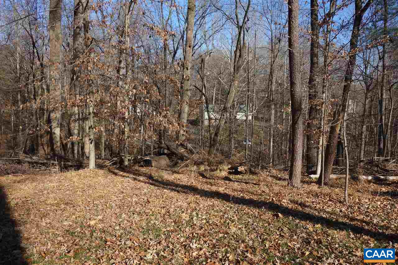 Lot M-10 Northfield Road Charlottesville, VA 22901 - Photo 6 of 10 a backyard of a house with lots of green space