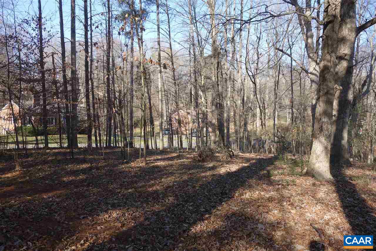 Lot M-10 Northfield Road Charlottesville, VA 22901 - Photo 7 of 10 a view of dirt yard with a large trees