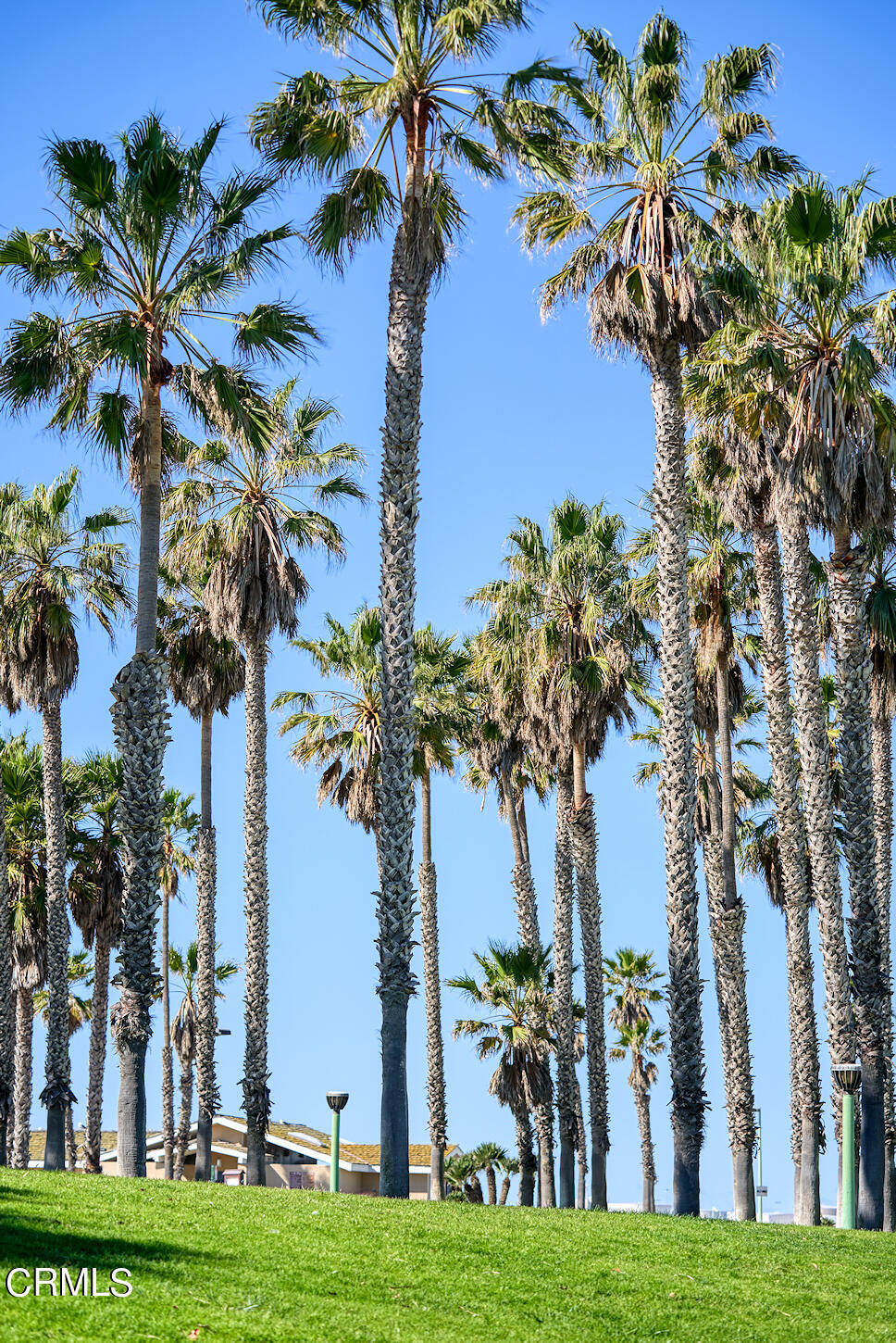 515 De Anza Way Oxnard, CA 93033 - Photo 42 of 48 a view of a houses with a yard
