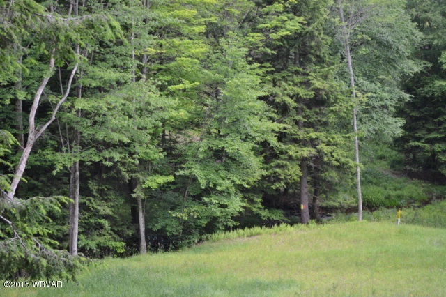 Lot 6 Shaffers Notch Road New Albany, PA 18833 - Photo 12 of 17 29548_11