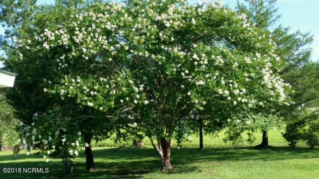 5245 Blueberry Road Currie, NC 28435 - Photo 34 of 37 BB crepe myrtle