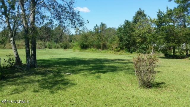 5245 Blueberry Road Currie, NC 28435 - Photo 35 of 37 BB yard