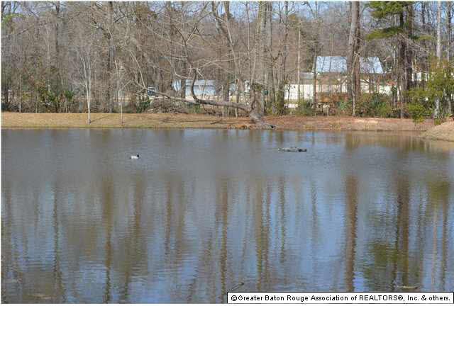 31009 Dunn Road Denham Springs, LA 70726 - Photo 3 of 19 Gallery Image 3