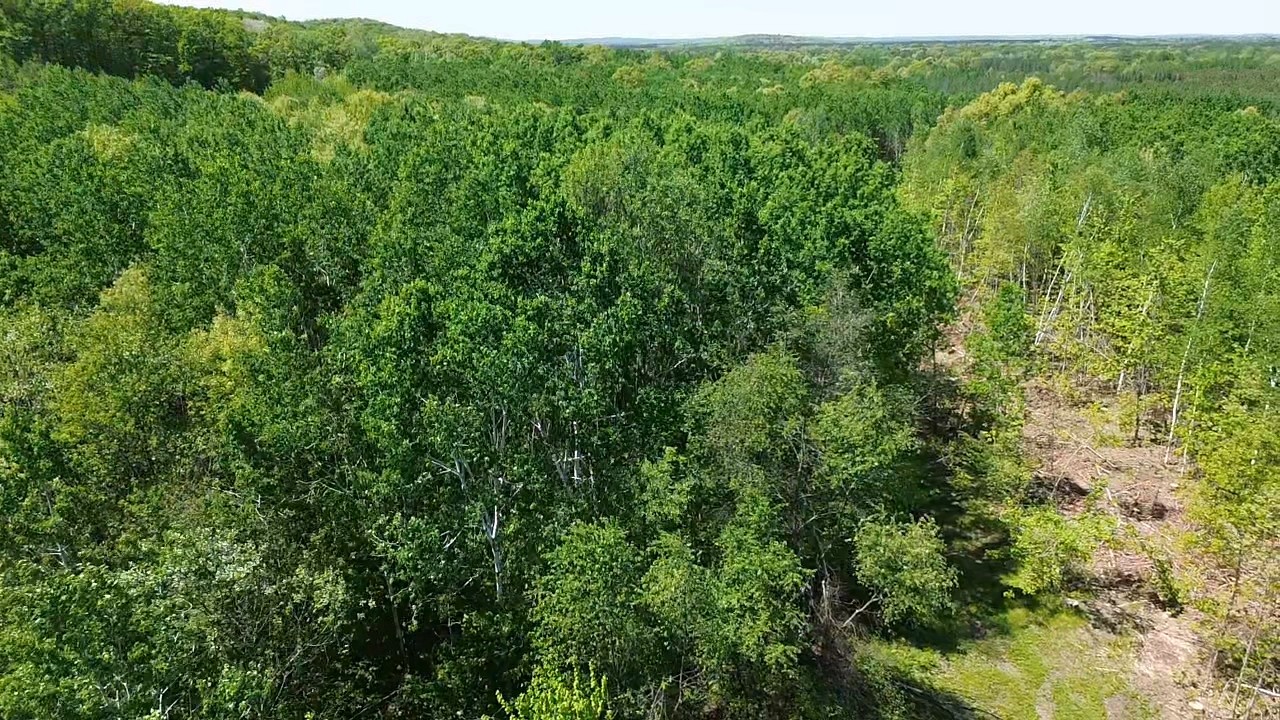343 X 5th Avenue Shell Lake, WI 54871 - Photo 15 of 16