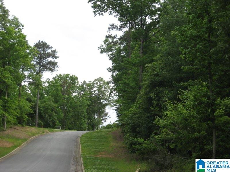 178 Olde Springs Road, Unit 24 Anniston, AL 36207 - Photo 35 of 37