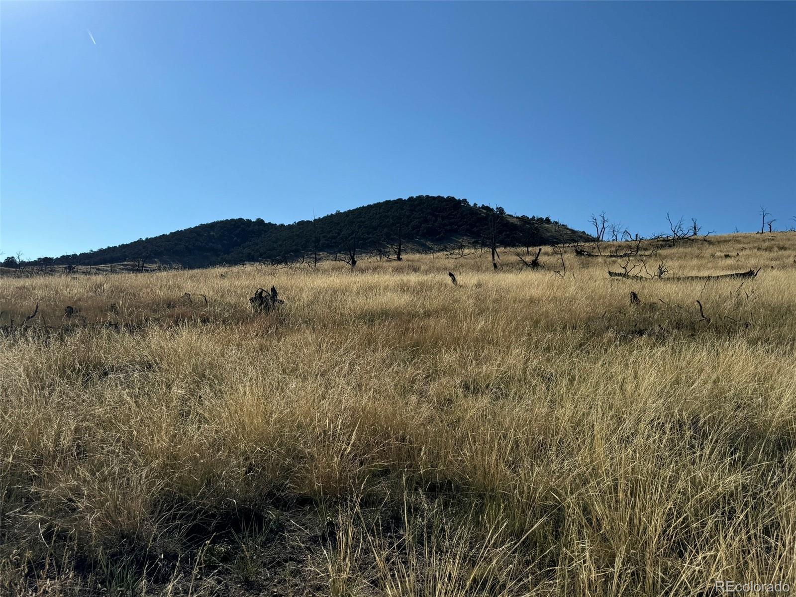 0 Copper Gulch Road Cotopaxi, CO 81223 - Photo 21 of 48 a view of lake and mountain