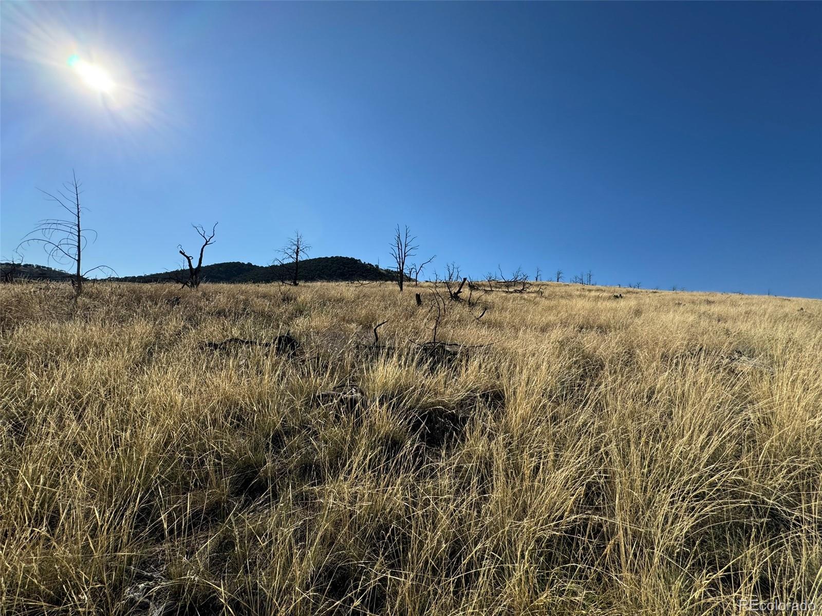 0 Copper Gulch Road Cotopaxi, CO 81223 - Photo 31 of 48 a view of wooden floor and fence