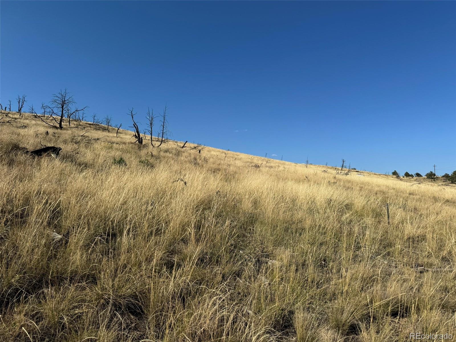 0 Copper Gulch Road Cotopaxi, CO 81223 - Photo 34 of 48 a view of a big room with a mountain