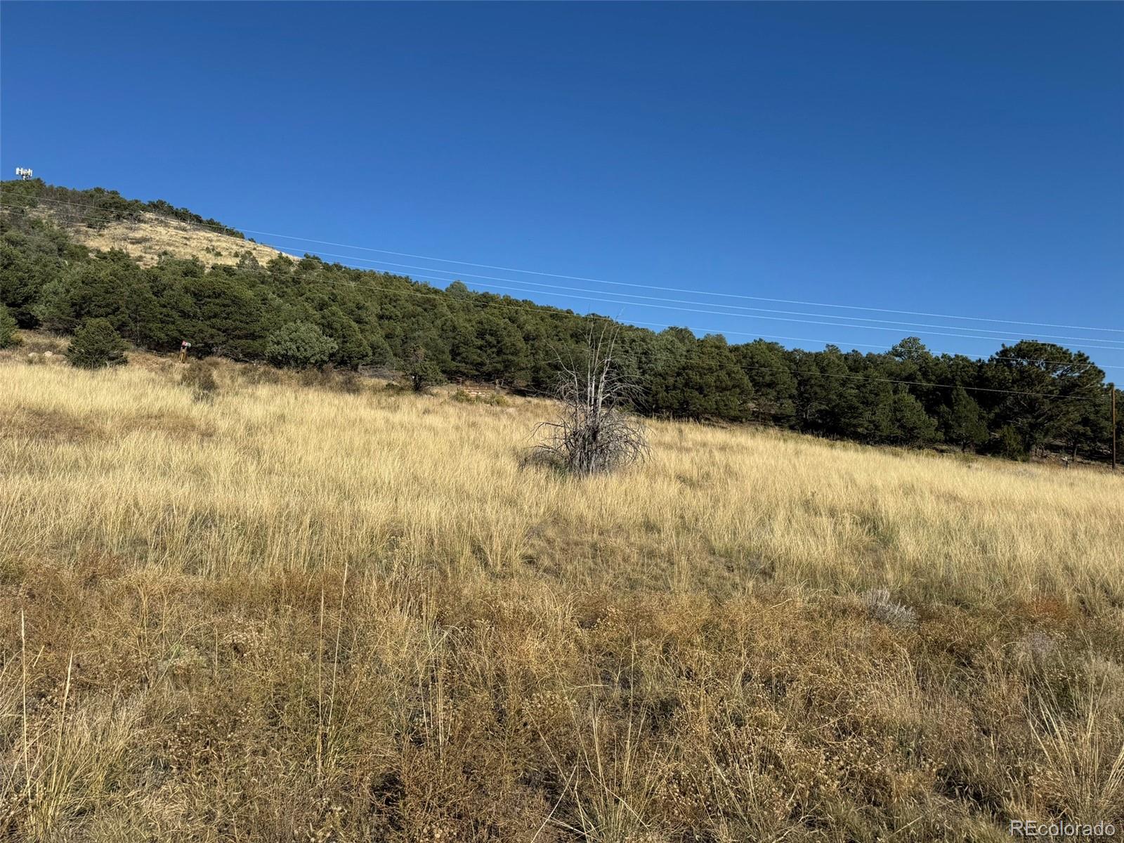 0 Copper Gulch Road Cotopaxi, CO 81223 - Photo 42 of 48 a view of lake and mountain