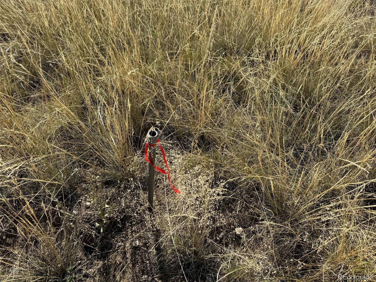 0 Copper Gulch Road Cotopaxi, CO 81223 - Photo 46 of 48 a view of building