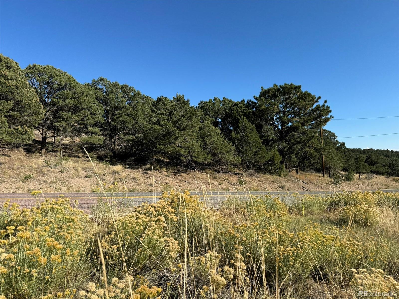 0 Copper Gulch Road Cotopaxi, CO 81223 - Photo 7 of 48 a view of a yard