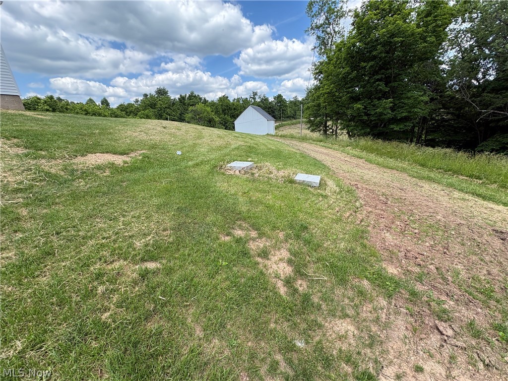 49628 Cain Ridge Road Clarington, OH 43915 - Photo 40 of 50