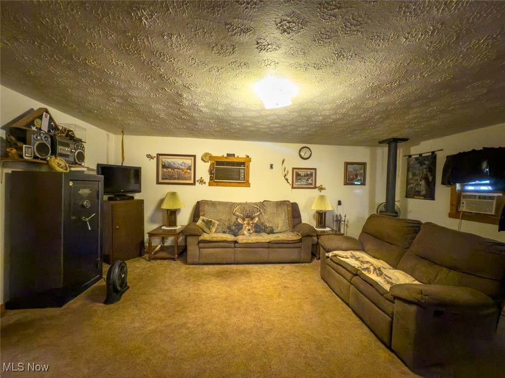 34390 Barber Ridge Road Lewisville, OH 43754 - Photo 21 of 50 Carpeted living room with a wood stove, a textured ceiling, and an AC wall unit