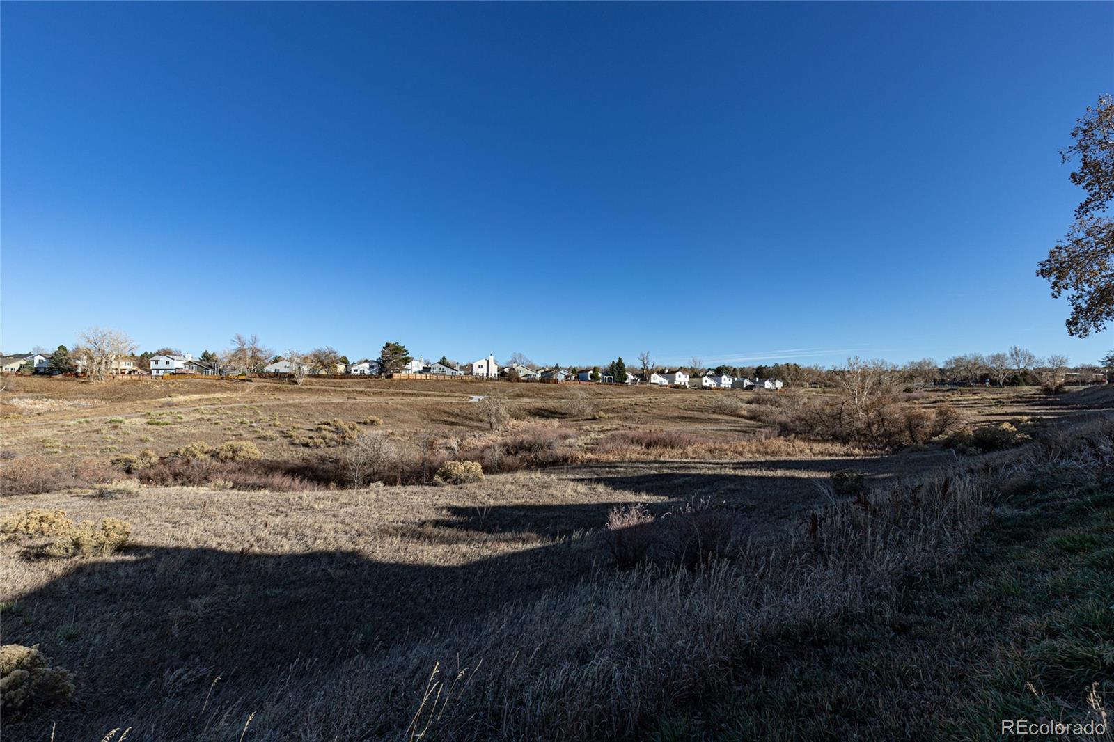 9498 Pendleton Drive Highlands Ranch, CO 80126 - Photo 27 of 28