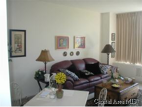 718 South 7th Street Street Springfield, IL 62703 - Photo 3 of 8