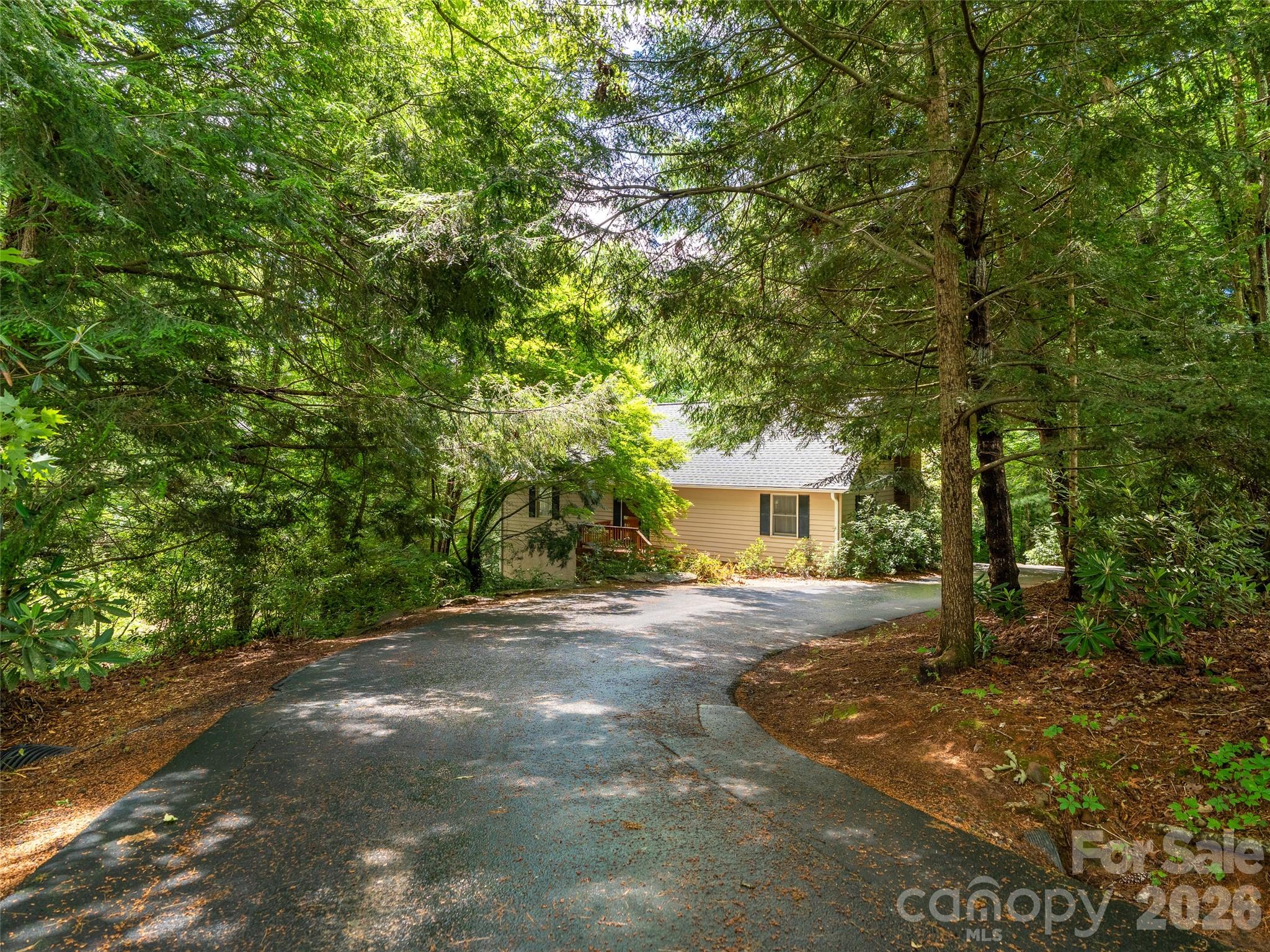 25 Blueberry Lane Fairview, NC 28730 - Photo 4 of 48