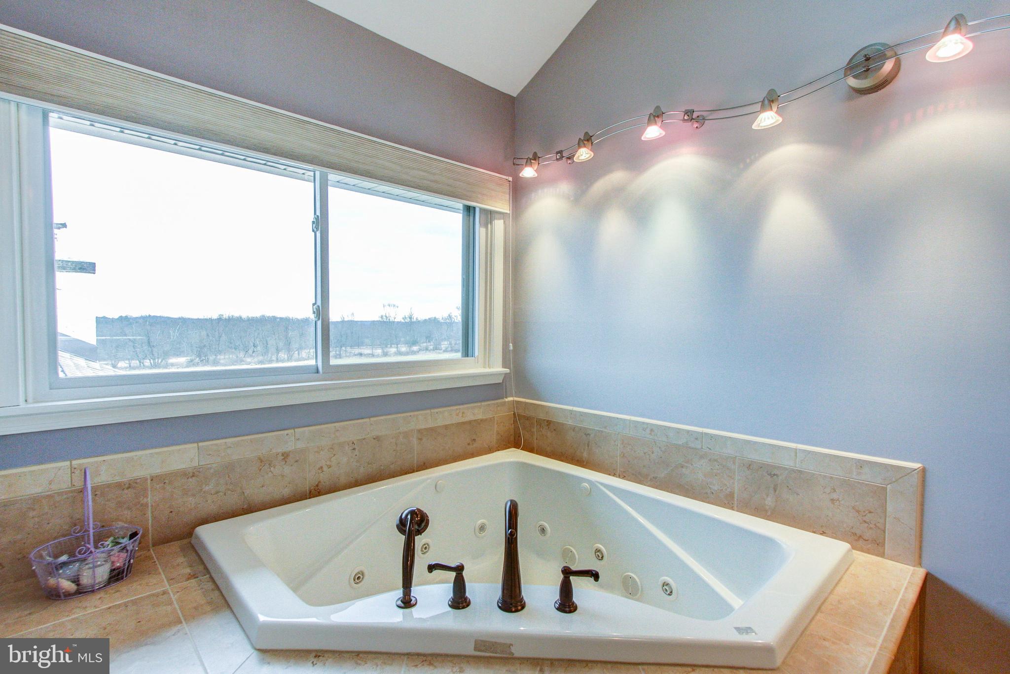 99 Pine Run Road Doylestown, PA 18901 - Photo 31 of 49