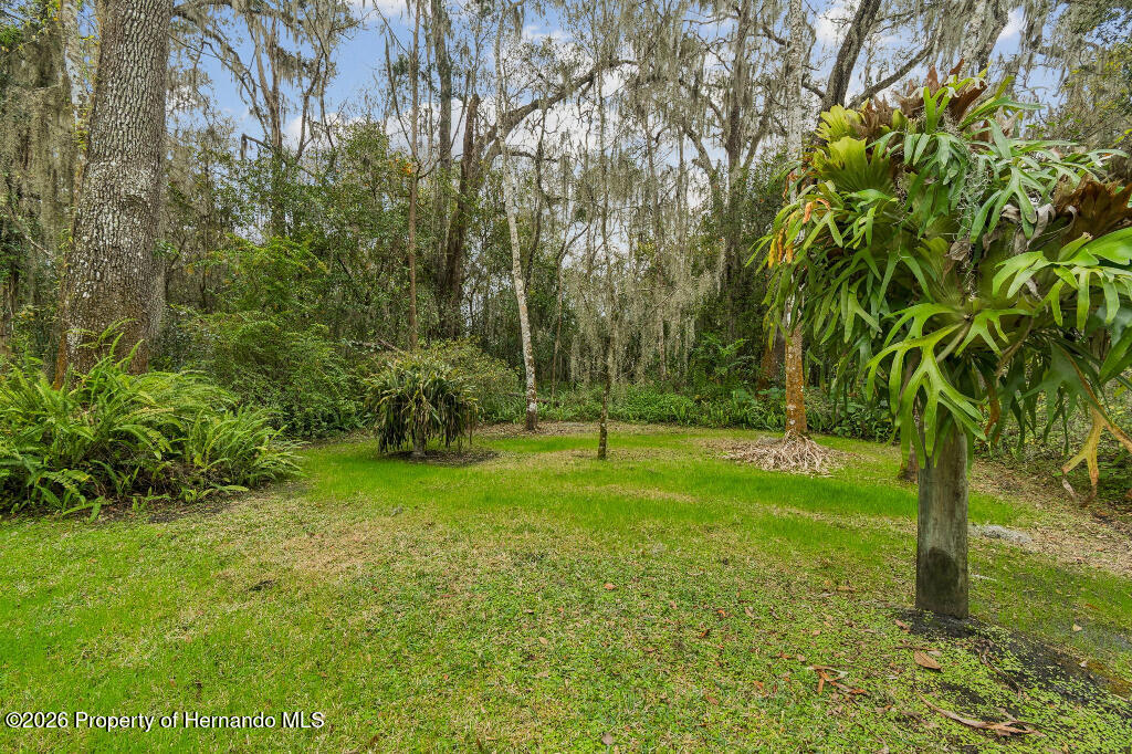 26262 Lake Lindsey Road Brooksville, FL 34601 - Photo 16 of 53 41570_695c7e619099a_01.06.2026_image-16