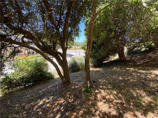 a view of outdoor space and trees