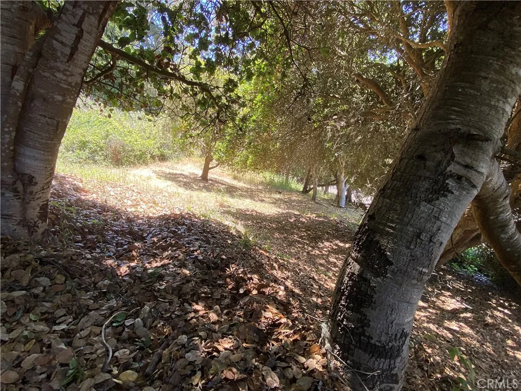 0 Kent Cambria, CA 93428 - Photo 7 of 8