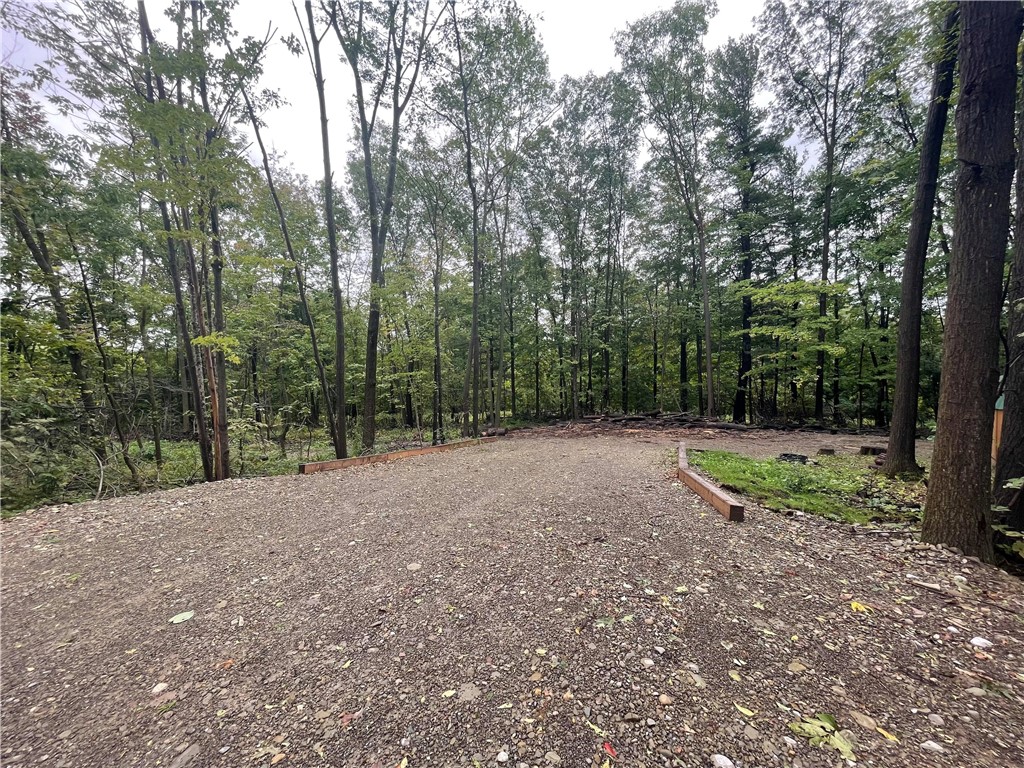 0 McCurdy Road Dansville, NY 14437 - Photo 1 of 1