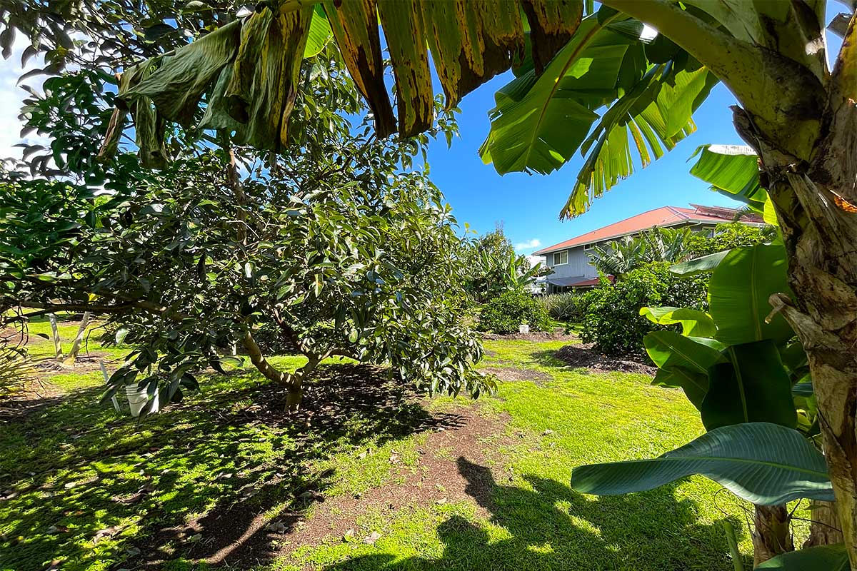 109 Mapuana Avenue Pahoa, HI 96778 - Photo 24 of 30 a view of an outdoor space