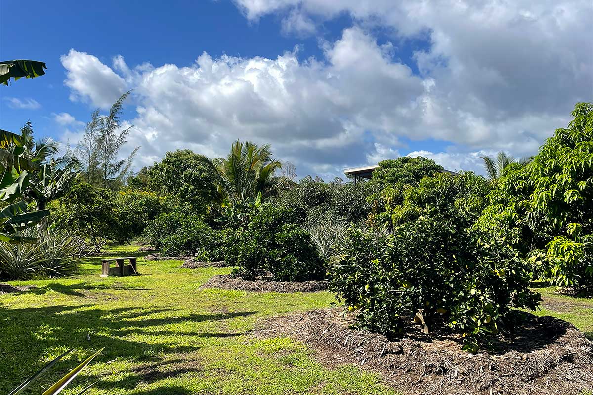 109 Mapuana Avenue Pahoa, HI 96778 - Photo 26 of 30 a view of a fountain in front of the house