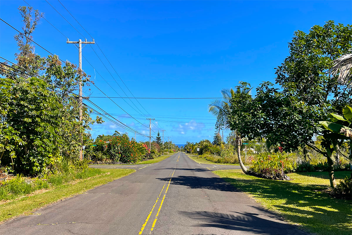 109 Mapuana Avenue Pahoa, HI 96778 - Photo 28 of 30 a view of a yard with plants and large trees