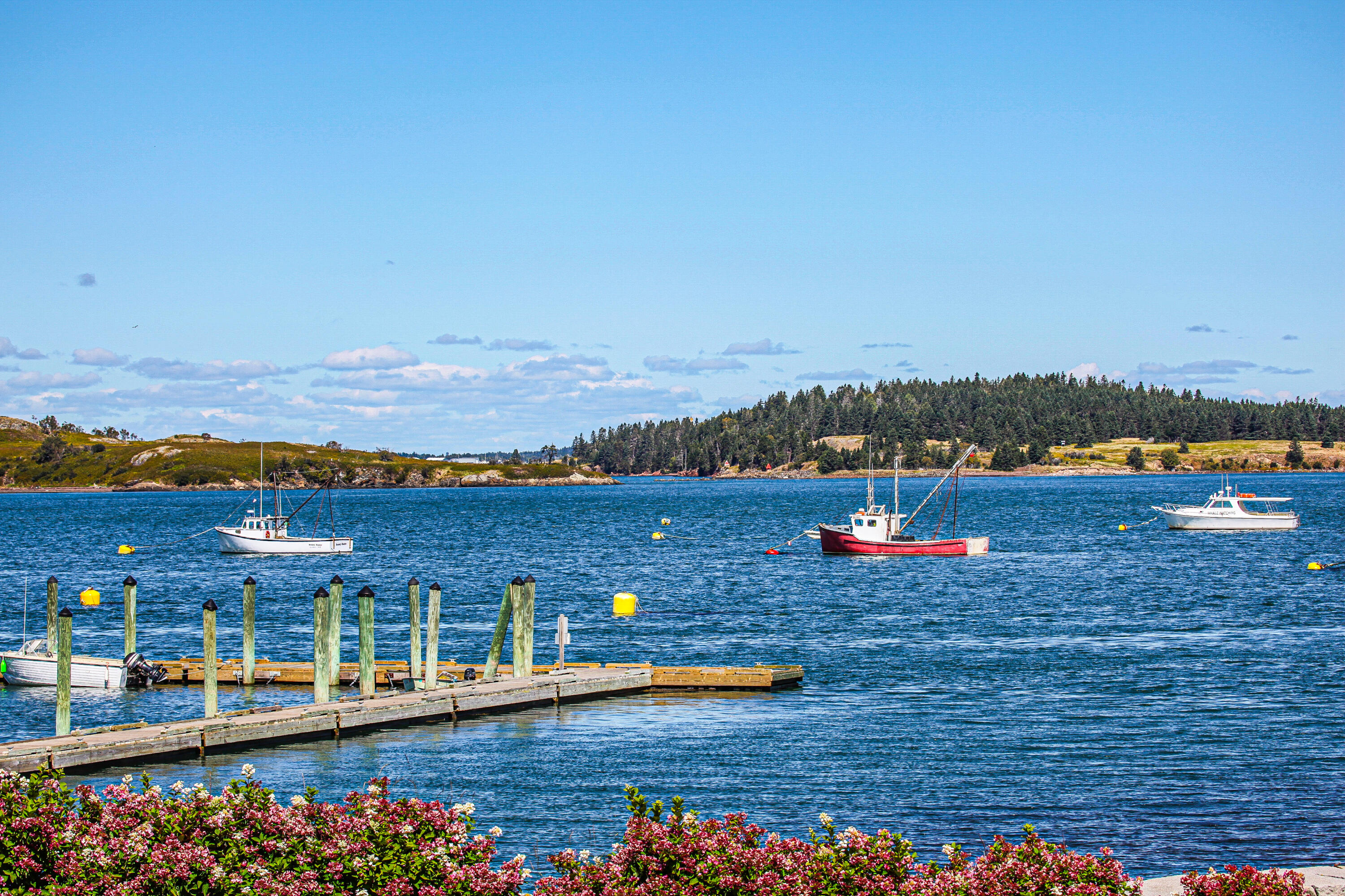 10 North Water Street Lubec, ME 04652 - Photo 54 of 59 IMG_0150