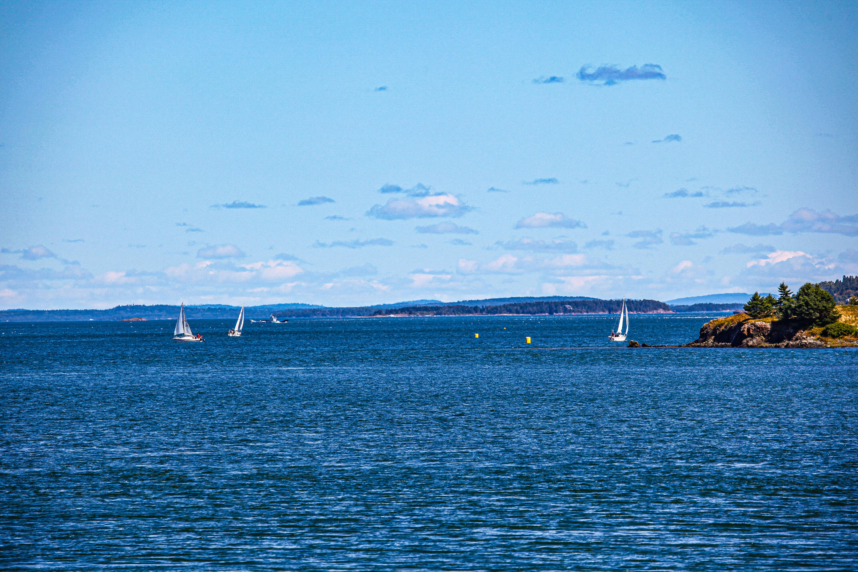 10 North Water Street Lubec, ME 04652 - Photo 55 of 59 IMG_0156