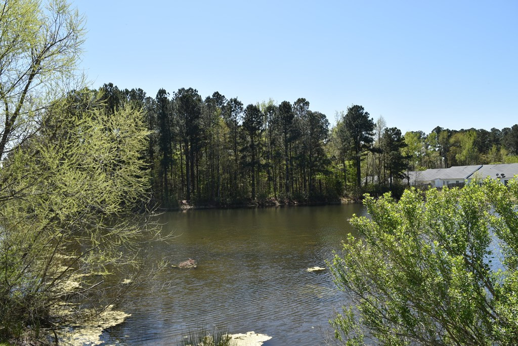 5001 Wheeler Lake Road Augusta, GA 30909 - Photo 30 of 30