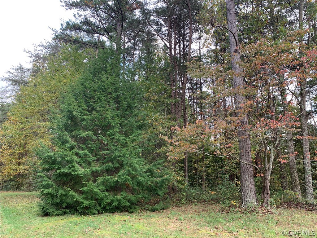 0 Starview Lane Gum Spring, VA 23065 - Photo 3 of 5 Gallery Image 3