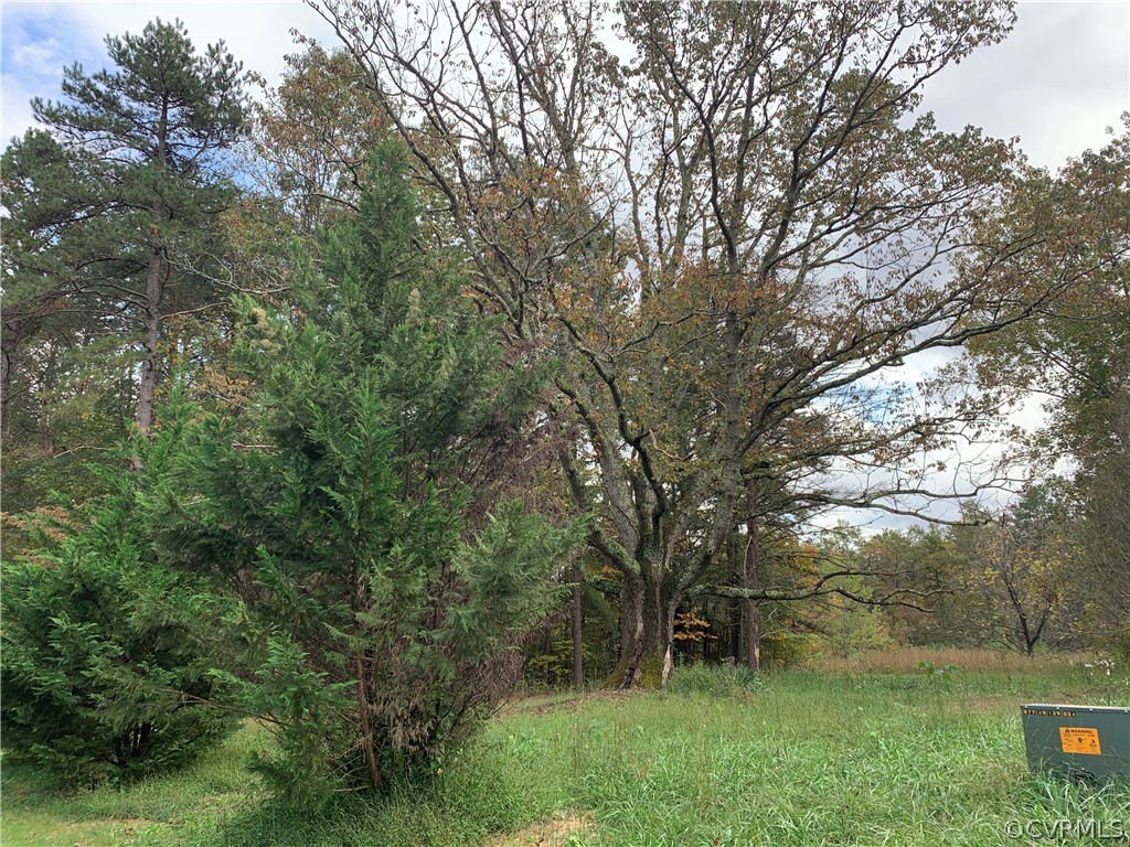 0 Starview Lane Gum Spring, VA 23065 - Photo 5 of 5 Gallery Image 5