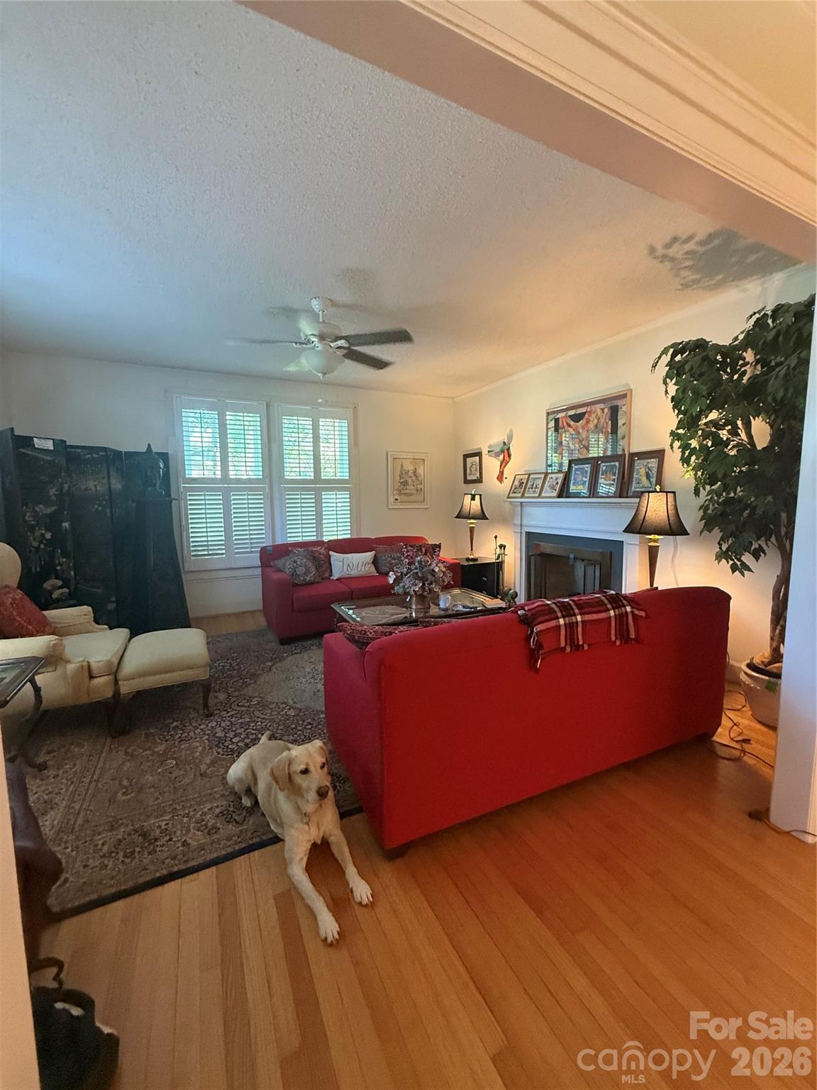 406 East Main Street Chesterfield, SC 29709 - Photo 16 of 45
