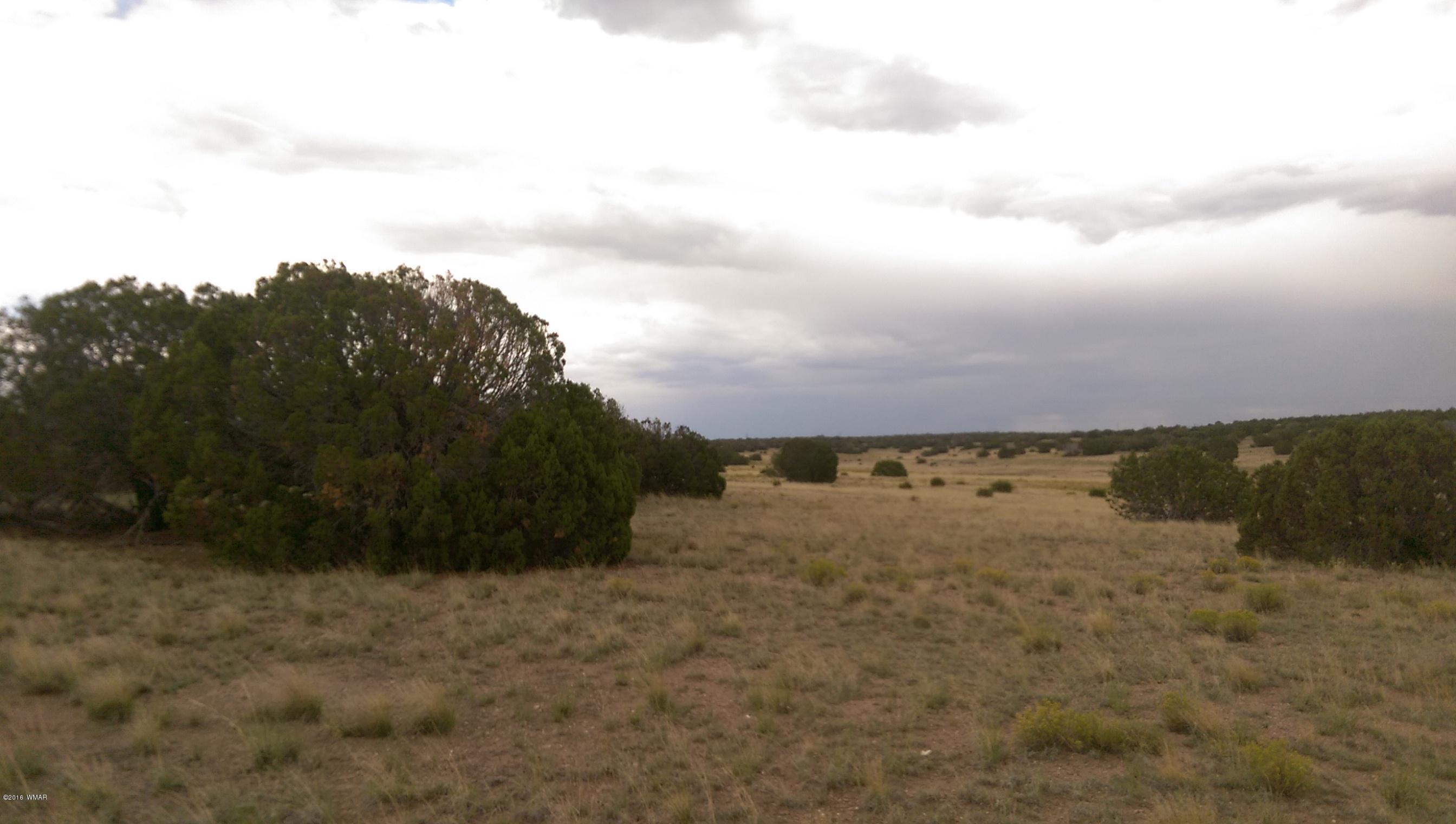 Lot 206 Elk Valley Ranch, Unit II St. Johns, AZ 85936 - Photo 3 of 10