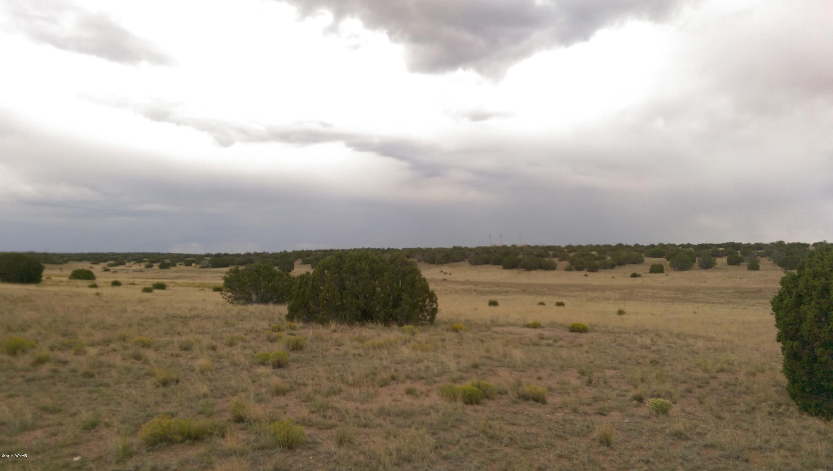 Lot 206 Elk Valley Ranch, Unit II St. Johns, AZ 85936 - Photo 4 of 10