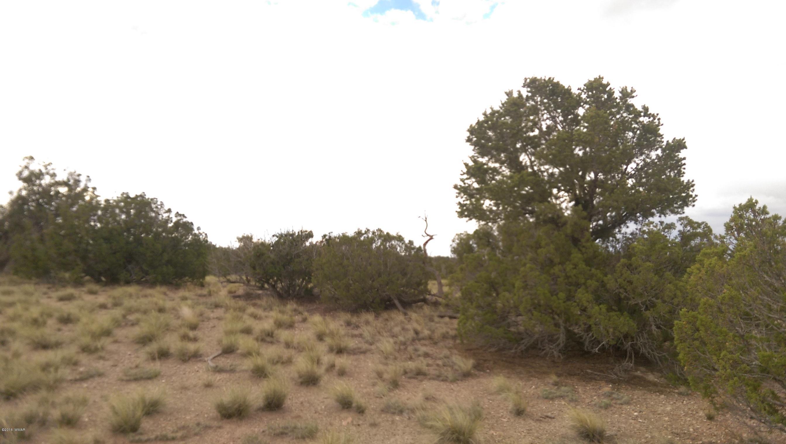 Lot 206 Elk Valley Ranch, Unit II St. Johns, AZ 85936 - Photo 5 of 10