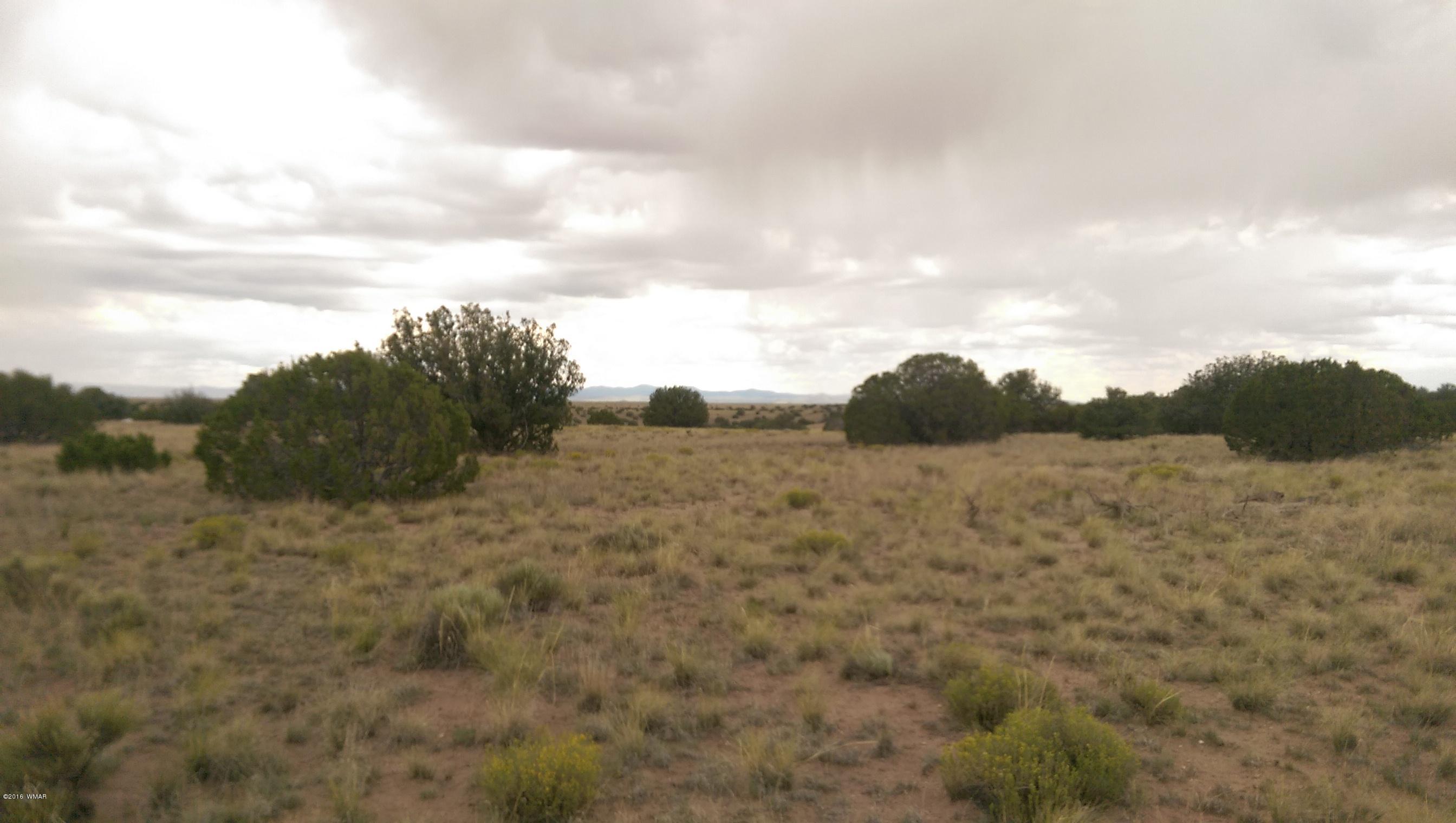 Lot 206 Elk Valley Ranch, Unit II St. Johns, AZ 85936 - Photo 6 of 10