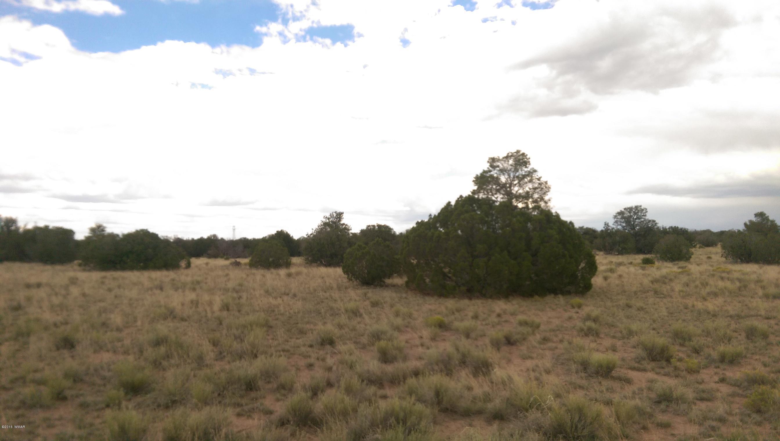 Lot 206 Elk Valley Ranch, Unit II St. Johns, AZ 85936 - Photo 7 of 10