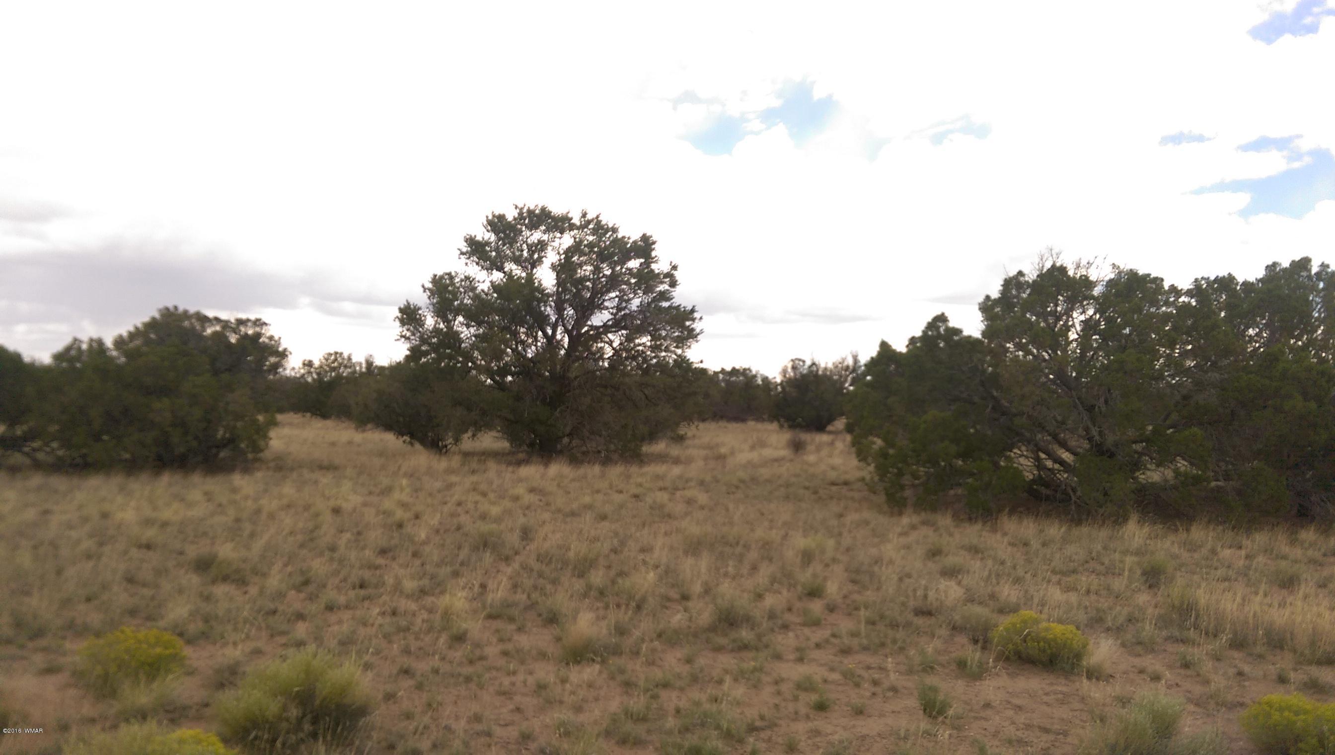 Lot 206 Elk Valley Ranch, Unit II St. Johns, AZ 85936 - Photo 8 of 10