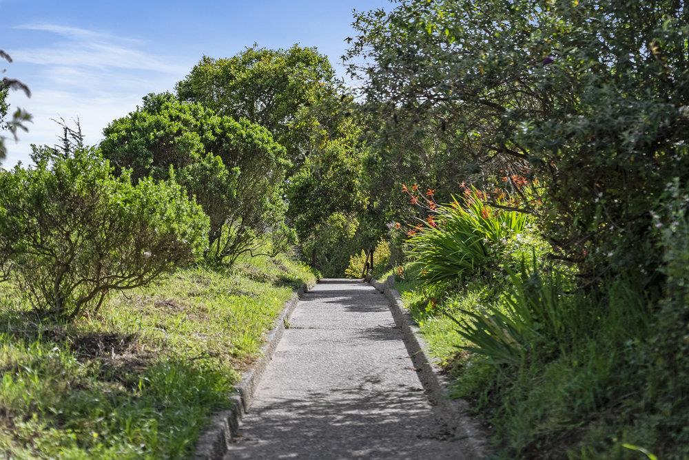 512 Cedar Street Aptos, CA 95003 - Photo 19 of 20 a view of a pathway both side of yard