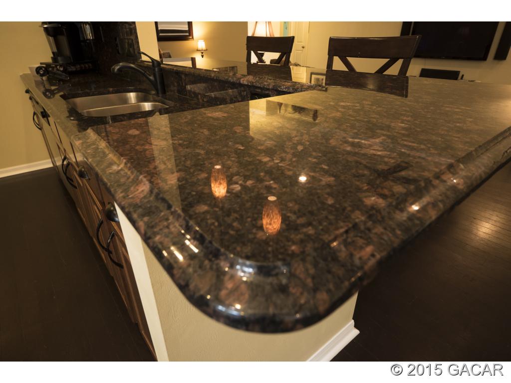 7610 Southwest 82nd Way Gainesville, FL 32608 - Photo 6 of 24 Beautiful Granite throughout