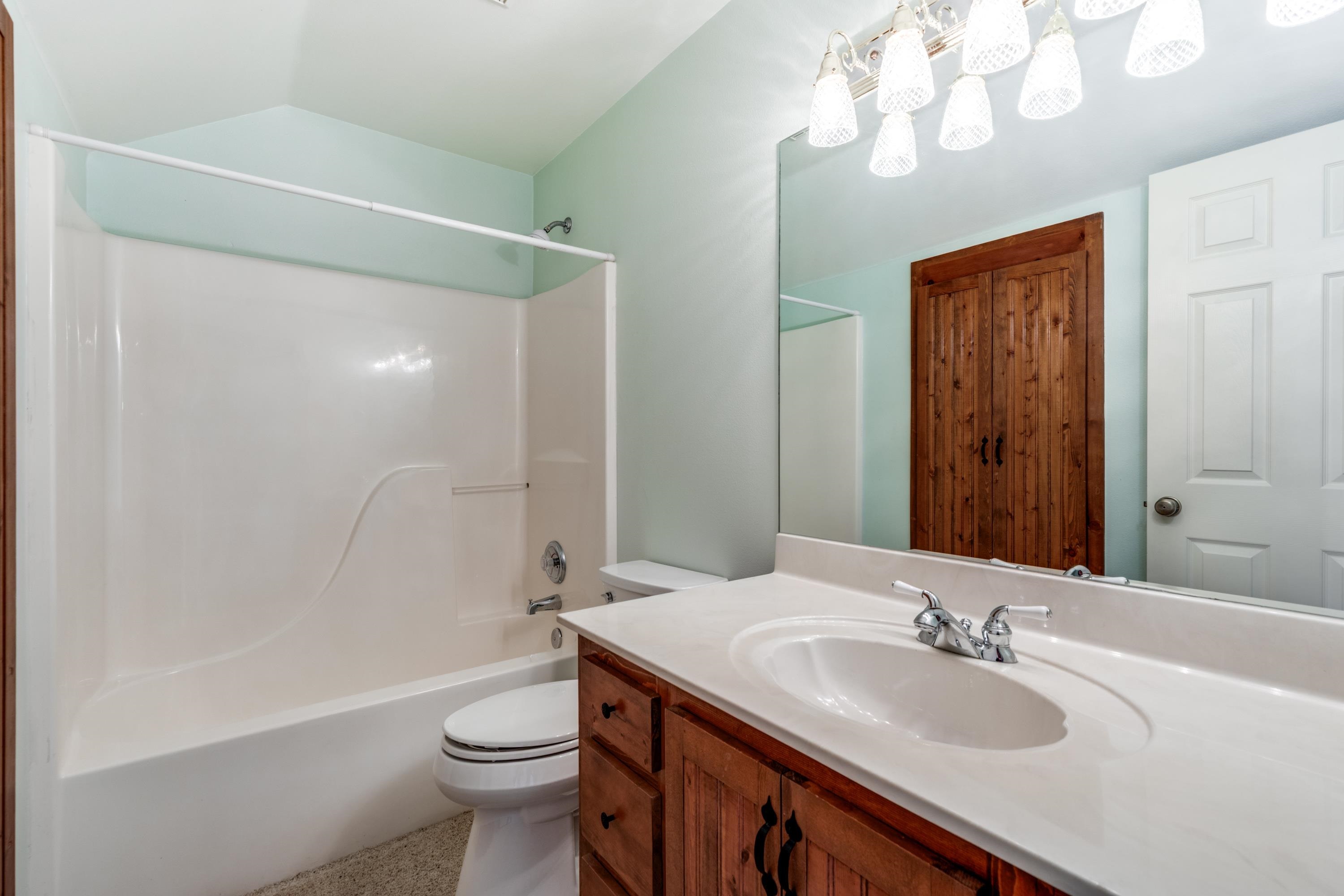 106 Redbud Drive Spicewood, TX 78669 - Photo 17 of 30