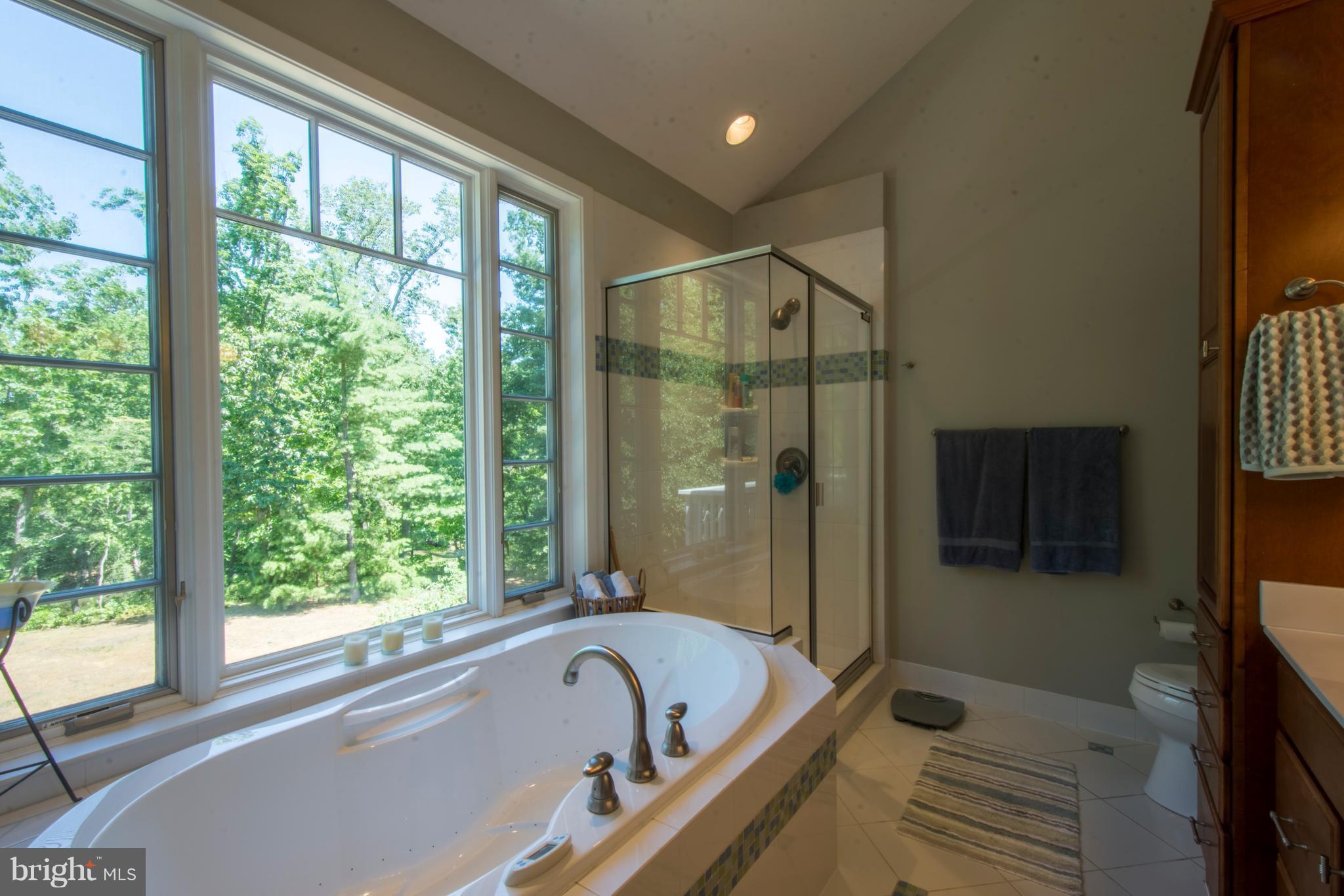 498 Ferry Point Road Annapolis, MD 21403 - Photo 18 of 102 Owners En-Suite Bathroom