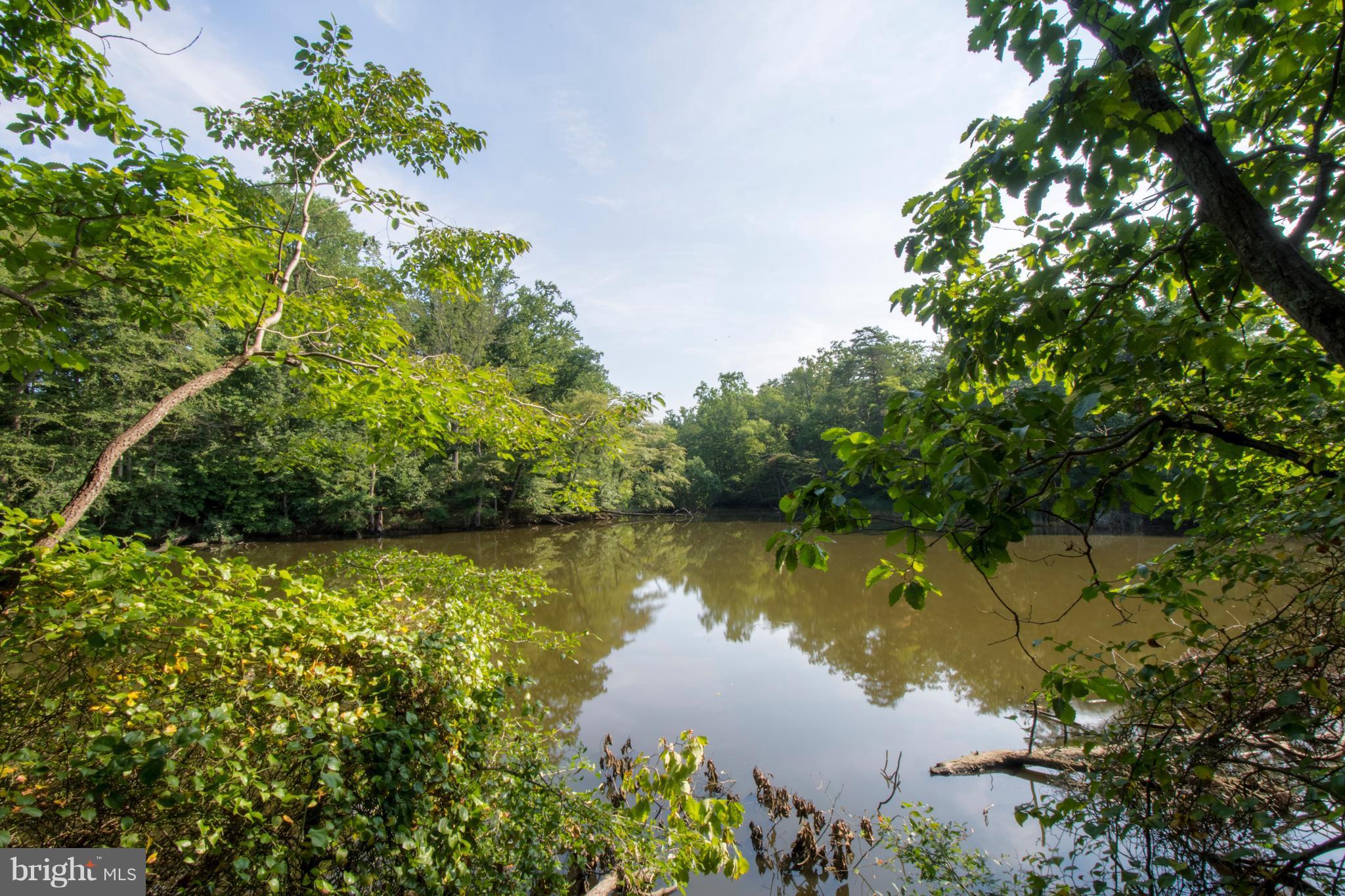 498 Ferry Point Road Annapolis, MD 21403 - Photo 26 of 102 Crab Creek View