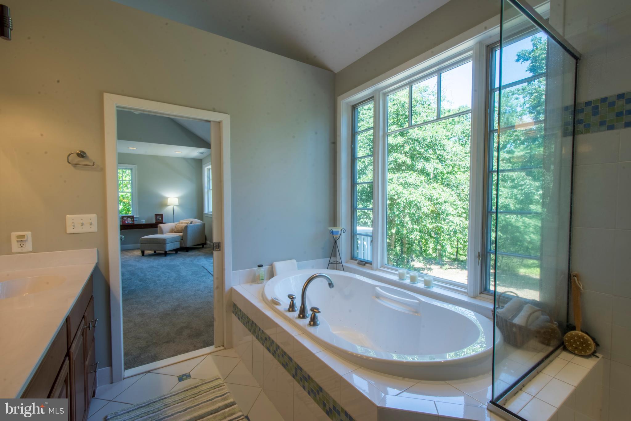 498 Ferry Point Road Annapolis, MD 21403 - Photo 41 of 102 Owners En-Suite Bathroom