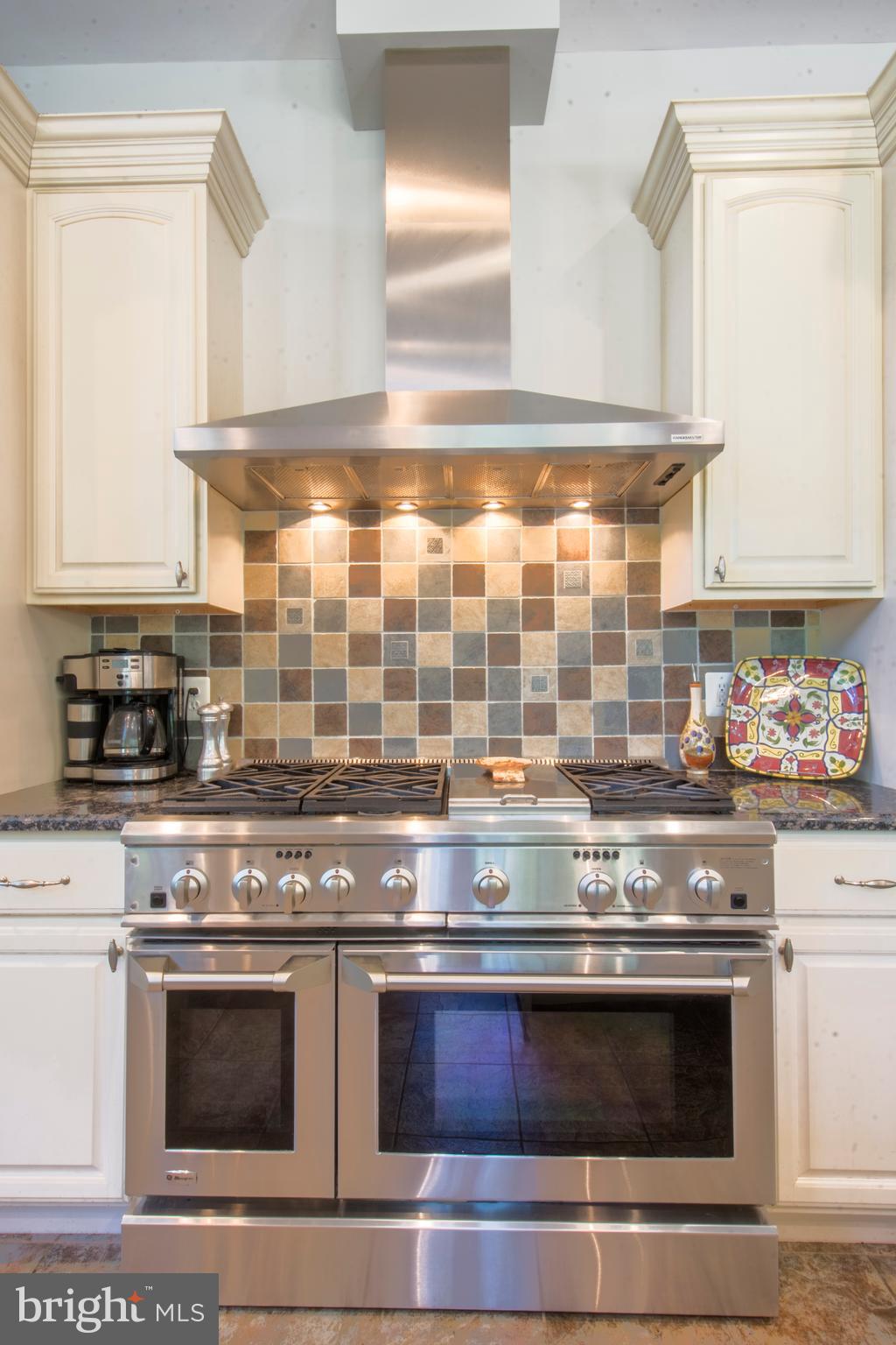 498 Ferry Point Road Annapolis, MD 21403 - Photo 76 of 102 Gourmet Stove