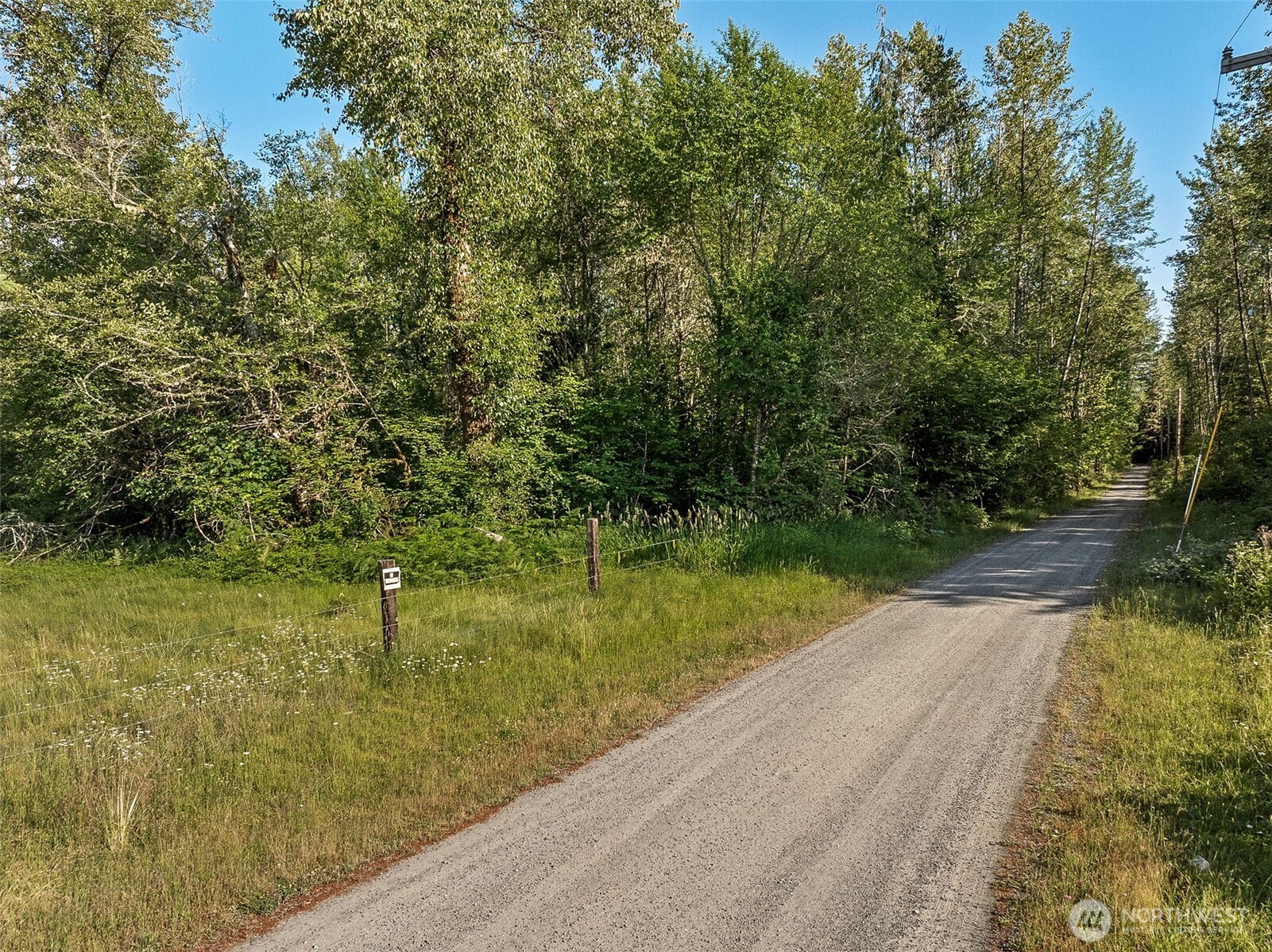 0 Park Junction Road East Elbe, WA 98330 - Photo 12 of 15