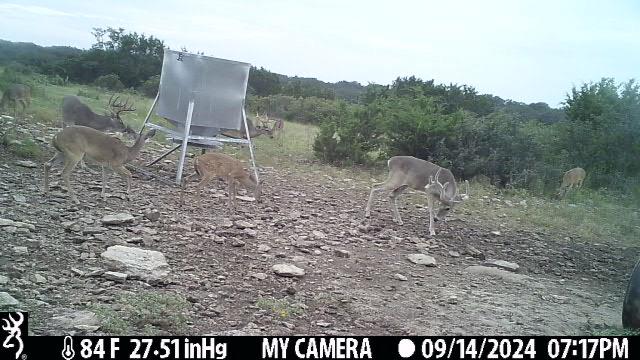 1 Elrincon Road Mountain Home, TX 78058 - Photo 14 of 19
